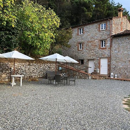 Apartamento Agriturismo Le Vallilunghe Lucca Exterior foto