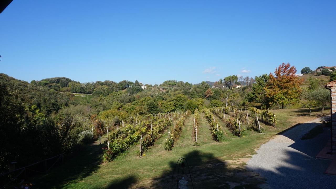 Apartamento Agriturismo Le Vallilunghe Lucca Exterior foto